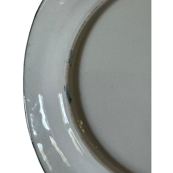 VTG Tennessee Souvenir Plate State Map Nashville Memphis Smoky Mountains Decor - Picture 4 of 4